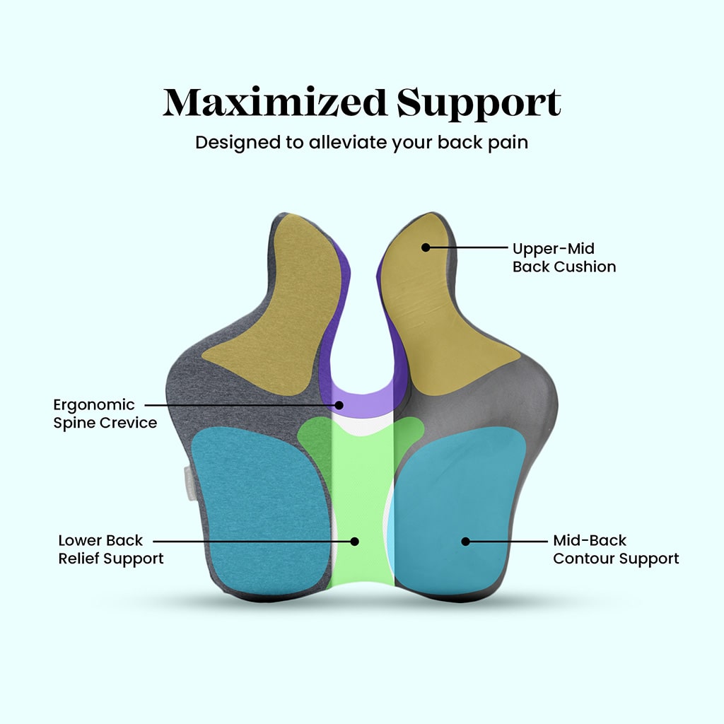 Majesty Lumbar Support - Fine Foams